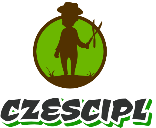 czescipl.com