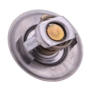 Termostat 6005012123 RENAULT POLMO Bestseller