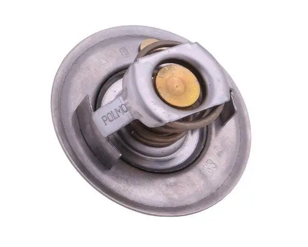 Termostat 6005012123 RENAULT POLMO Bestseller