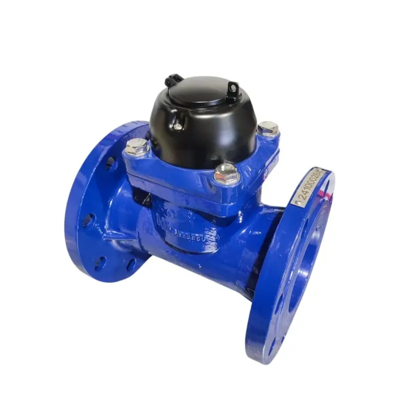 Popularny Wodomierz DN65 Mega